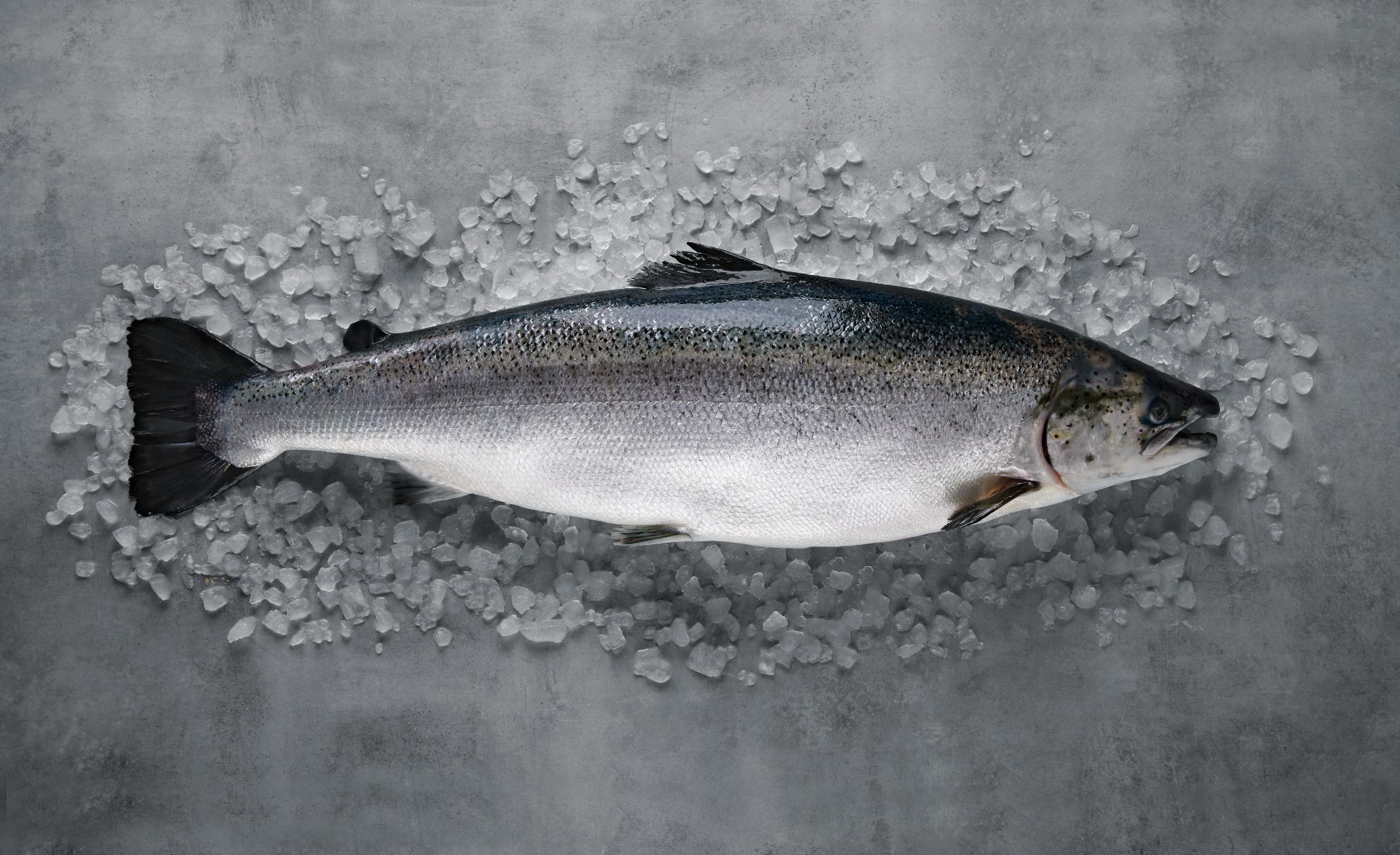 Foto: Aina Hole / Norwegian Seafood Council