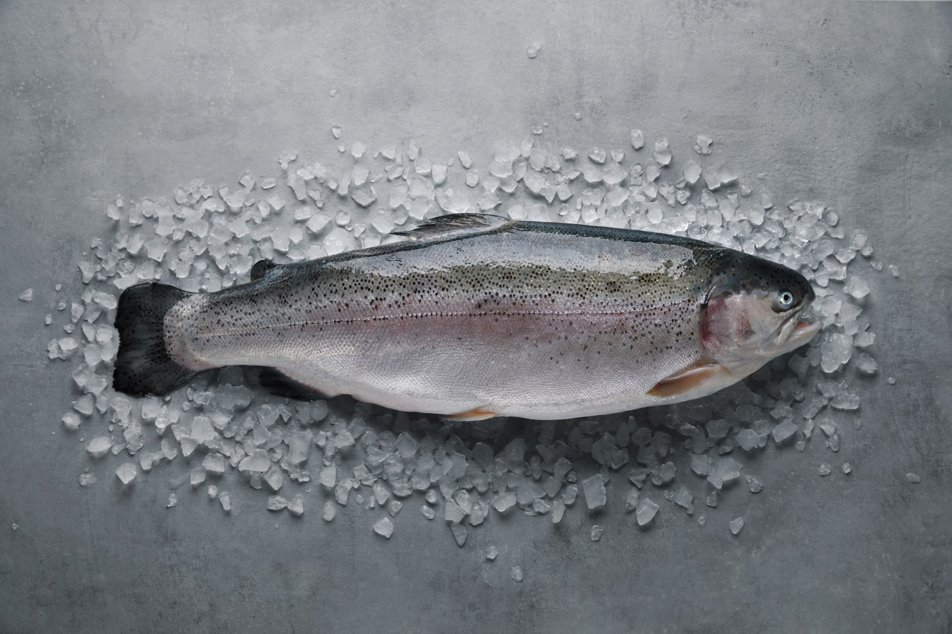 Foto: Aina Hole / Norwegian Seafood Council